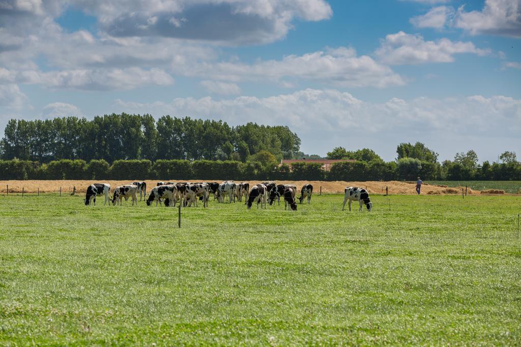 Welcome In - De Grote Geere Oostkapelle Esterno foto